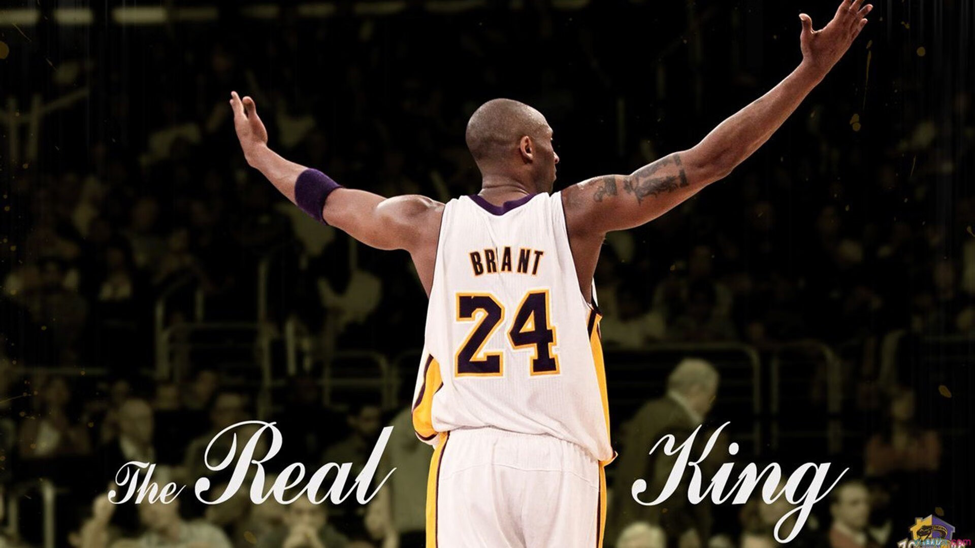 中国篮球职业联赛球队管理创新研究，中国篮球协会组织架构